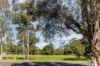 1/85 Brighton Avenue, Croydon Park, NSW 2133-Image