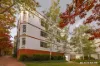 1/85 Port Jackson Circuit, Phillip, ACT 2606-Image
