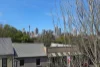 1/96A Glebe Point Rd, Glebe, NSW 2037-Image