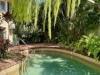 1 Castaways/32 Mowbray Street, Port Douglas, Qld 4877-Image