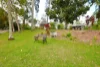 1 Eudlo Street, Landsborough, Qld 4550-Image