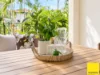 10/1804 Captain Cook Highway, Clifton Beach QLD 4879-Image