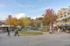 10/57 Warwick Street, Hobart, Tas 7000-Image