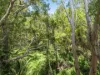 10/6-10 Wattle Street, Yorkeys Knob, Qld 4878-Image