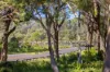10/63-65 The Parade, North Haven, NSW 2443-Image