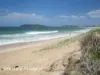 10/75 Ocean Parade, Coffs Harbour, NSW 2450-Image