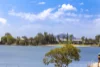 10/77 Bradman Avenue, Maroochydore, Qld 4558-Image