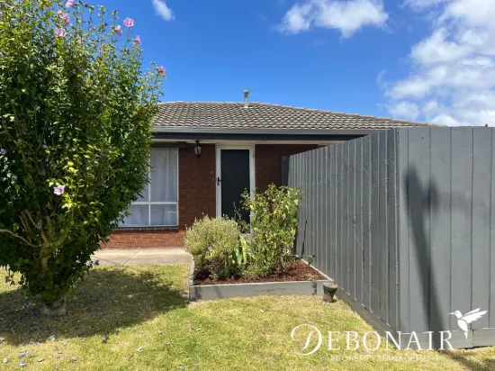 10 Dorcas Street, Newcomb, Vic 3219