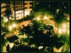 101/41 Gotha Street, Fortitude Valley, Qld 4006-Image