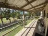 101/570 Pine Ridge Road, Coombabah, Qld 4216-Image