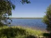101E/25 Herdsman Parade, Wembley, WA 6014-Image