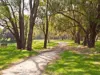 101E/25 Herdsman Parade, Wembley, WA 6014-Image