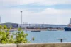 102/7 Honeysuckle Drive, Newcastle, NSW 2300-Image