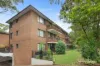 11/143 Sydney Street, Willoughby, NSW 2068-Image