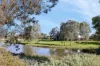 11/17 Euston Walk, Mawson Lakes, SA 5095-Image