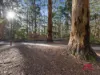 11/19 Kennedy Street, Pemberton, WA 6260-Image