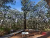 11/19 Kennedy Street, Pemberton, WA 6260-Image