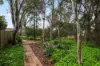 11/19 Susan Street, St Agnes, SA 5097-Image