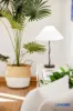 11/20 Belmore Street, Burwood, NSW 2134-Image