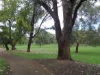 11/22-24 Cunningham Terrace, Daglish WA 6008-Image