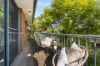 11/36-38 Birmingham Street, Merrylands, NSW 2160-Image