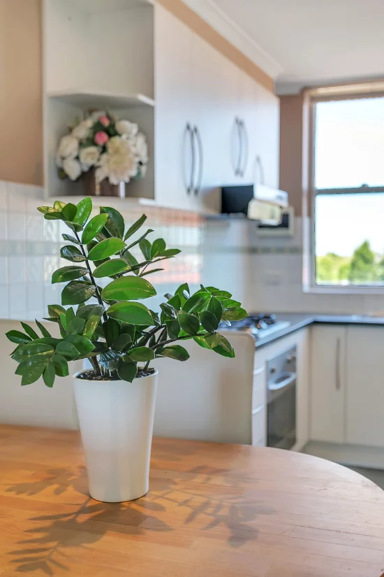 11/465 Portrush Road, Glenside, SA 5065-Image