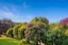 11/61 Marana Street, Bilambil Heights, NSW 2486-Image