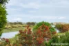 11/82-84 River Road, Port Noarlunga South, SA 5167-Image