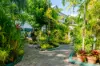 110/219-225 McLeod St, Cairns North, Qld 4870-Image