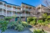 111/11 Giles Street, Griffith, ACT 2603-Image