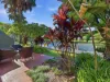 1115/2 Resort Drive, Coffs Harbour NSW 2450-Image