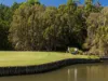 1115/2 Resort Drive, Coffs Harbour NSW 2450-Image