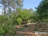11A Nicholl Street, Glen Forrest, WA 6071-Image