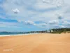 12/12 Loftus Street, Narrabeen, NSW 2101-Image