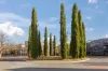 12/2 Antis Street, Phillip, ACT 2606-Image