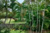 12/23-25 Harris Street, Parramatta Park, Qld 4870-Image