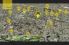 12/256 Lakemba Street, Lakemba, NSW 2195-Image