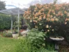 12/3 Mulberry Court, Magill, SA 5072-Image