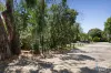 12/62-64 Hamilton Road, Bayswater North, Vic 3153-Image