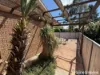 12/9 Amangu Close, Orange, NSW 2800-Image