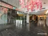 1211/50 Albert Road, South Melbourne, Vic 3205-Image