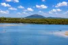 12D/120-122 Duporth Avenue, Maroochydore, Qld 4558-Image