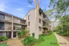 13/205 Waterloo Road, Marsfield, NSW 2122-Image