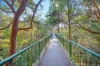 13/248 Pacific Highway, Greenwich, NSW 2065-Image