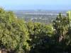 13/3 Dubois St, Buderim, Qld 4556-Image