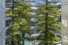 13/35-36 East Esplanade, Manly, NSW 2095-Image