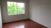 13 King Street, Kogarah NSW 2217-Image