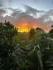 135/12-21 Gregory Street, Westcourt, Qld 4870-Image