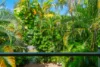14/17-19 Marett Street, Stratford, Qld 4870-Image