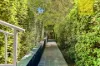 14/174-176 Bridge Road, Westmead, NSW 2145-Image